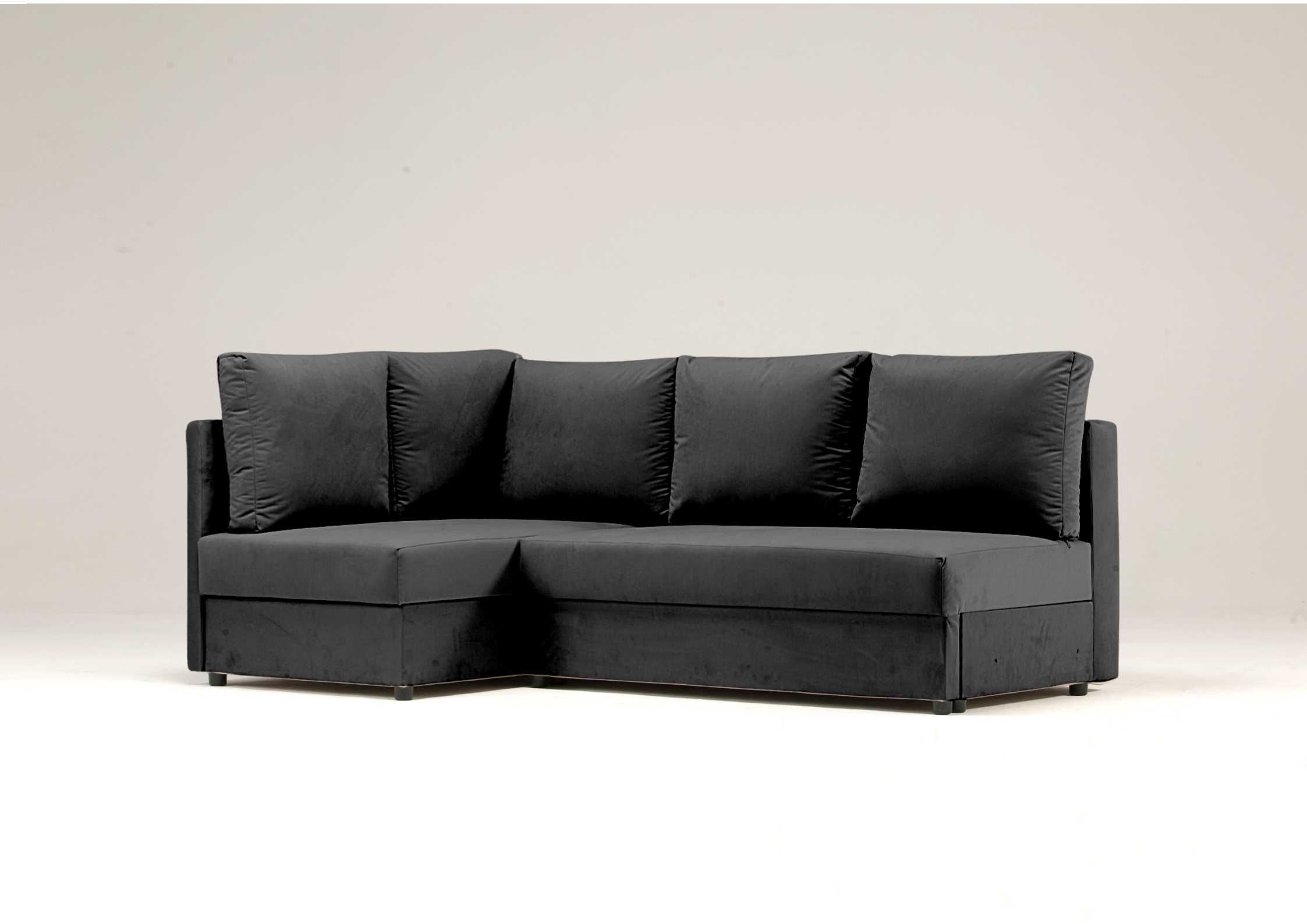 Klasyczna rogówka czarna